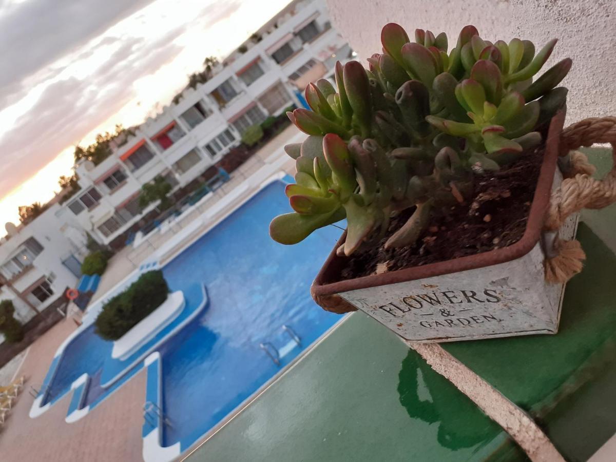 Апартаменты Casa Tavio 6 Casa Tavio 7 Коста-дель-Силенцио Экстерьер фото
